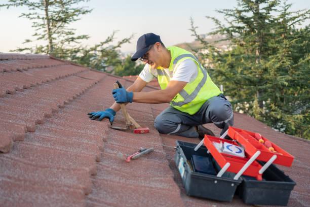 Best Storm Damage Roof Repair  in Wewahitchka, FL