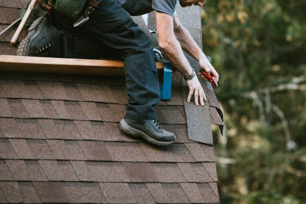 Best Metal Roofing Contractor  in Wewahitchka, FL